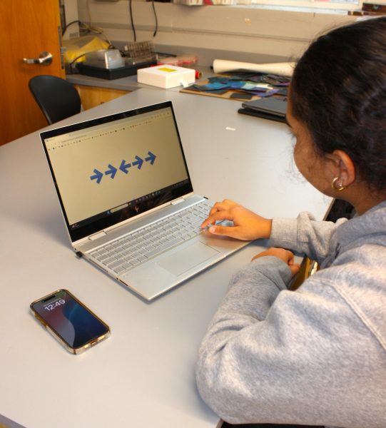Student conducts experiment on computer
