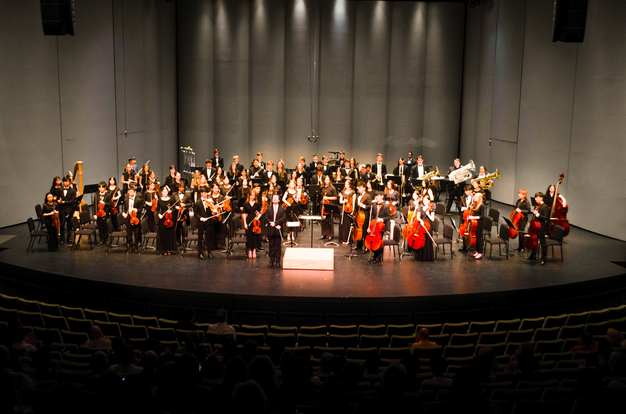 Youth Orchestras