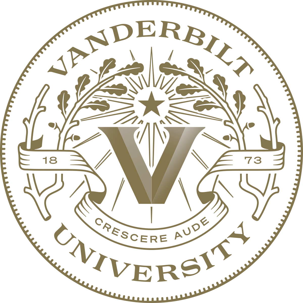 Vanderbilt University launches $3.2B Dare to Grow campaign