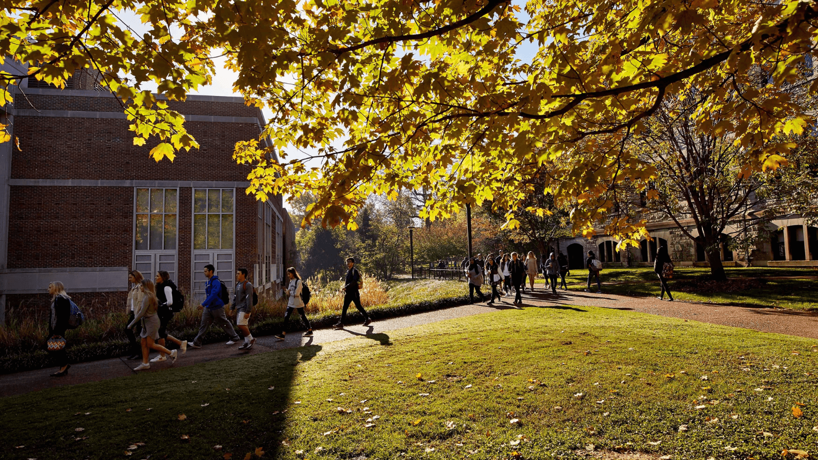 Vanderbilt students walk outside the Law School on a fall day