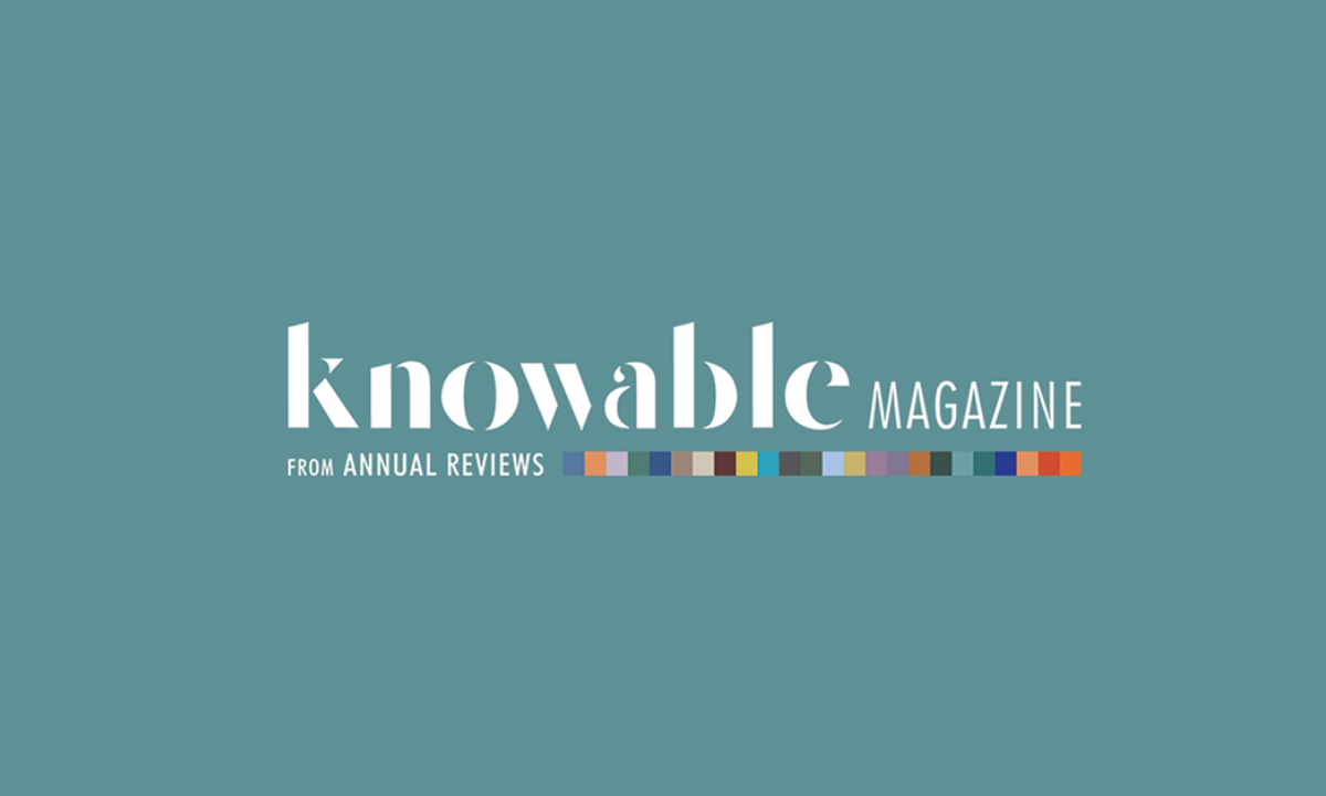 knowable logo