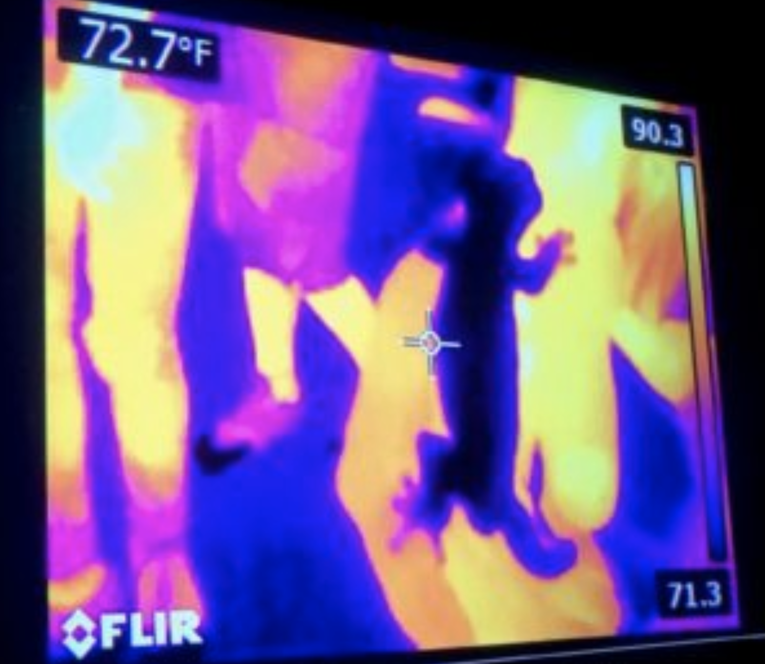 Lizard Demonstrates Infrared Spectrum