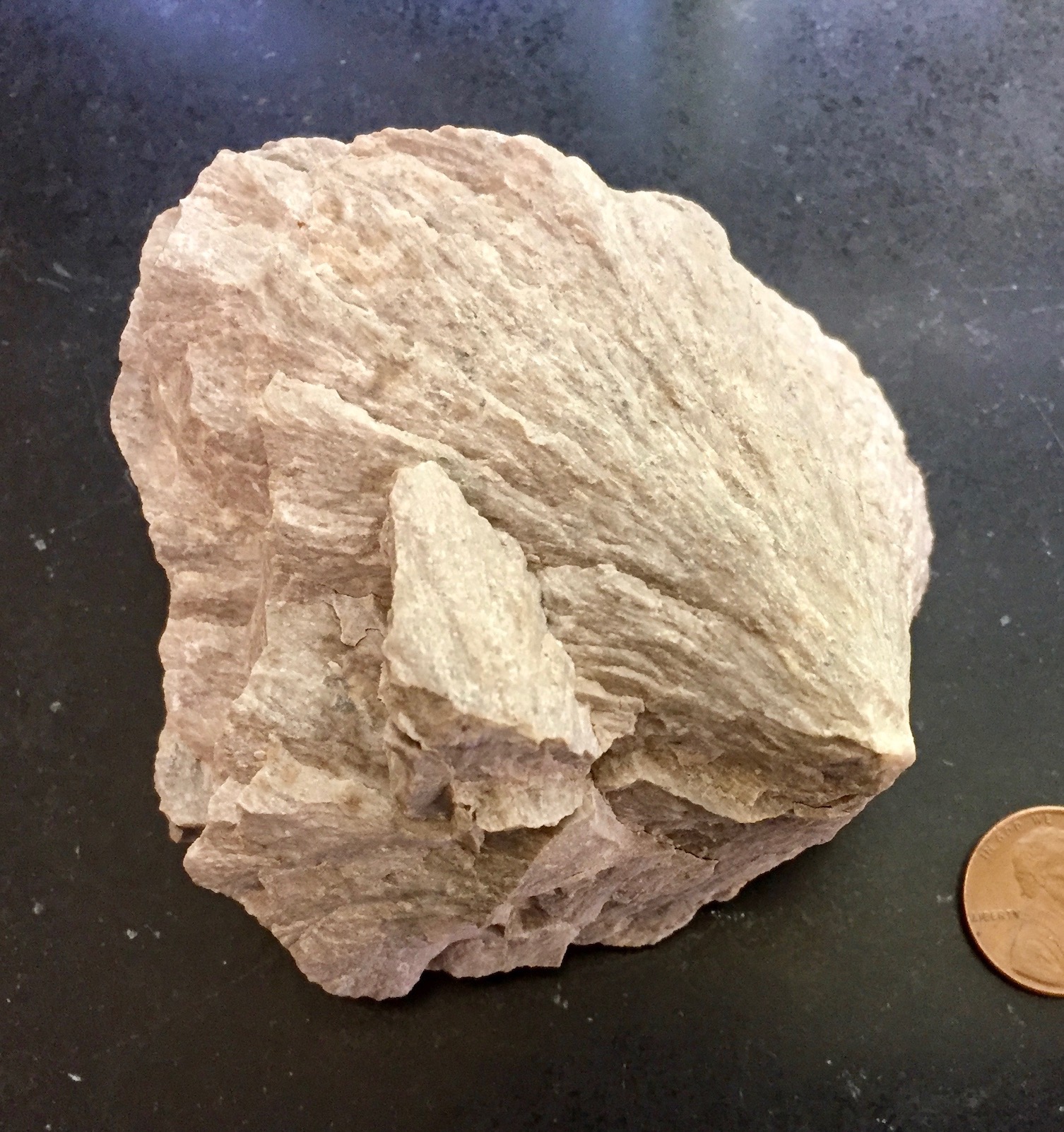 Shatter Cone from the Wells Creek Basin