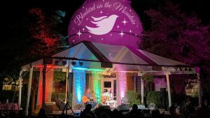 Bluebird on the Mountain Concerts
