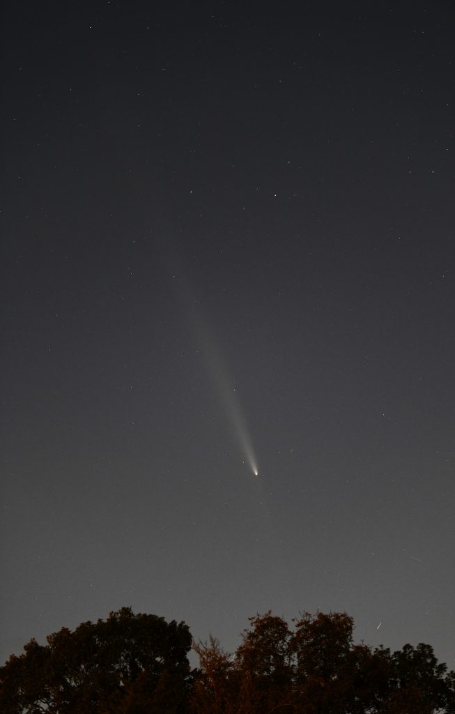 Comet C/2023 A3 (Tsuchinshan-ATLAS) displaying a tail and anti-tail above treetops.