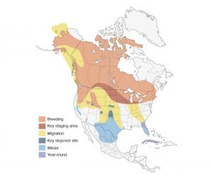 Sandhill Crane Range Map