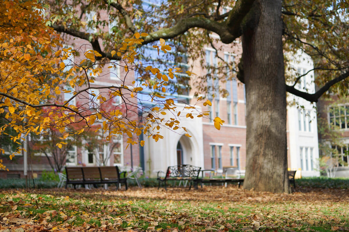 Vanderbilt University