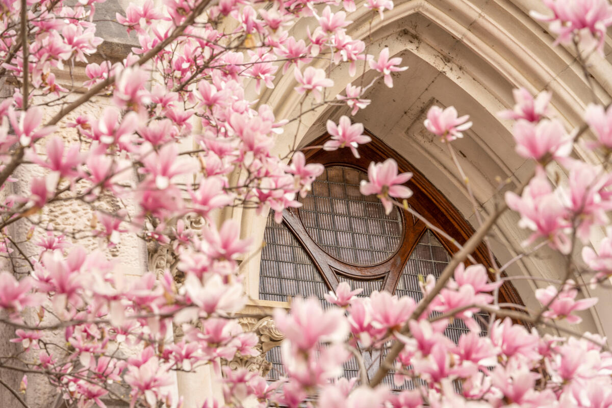 Vanderbilt University