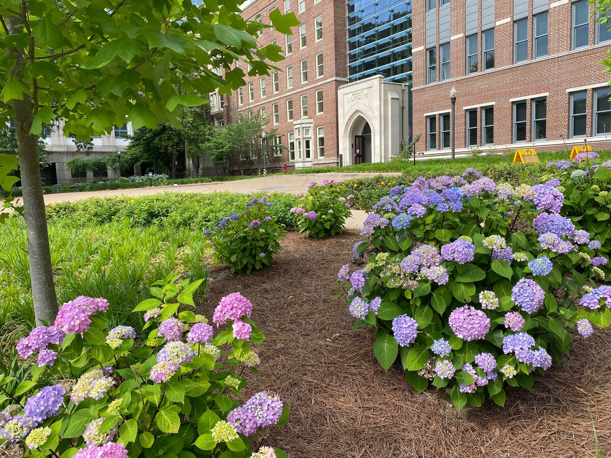 Vanderbilt University