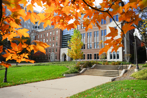 The outside of VUSN's building with fall leaves in the foreground.