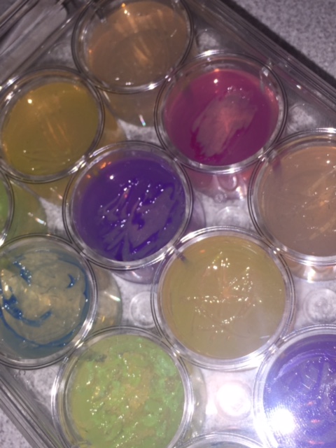 Vanderbilt University