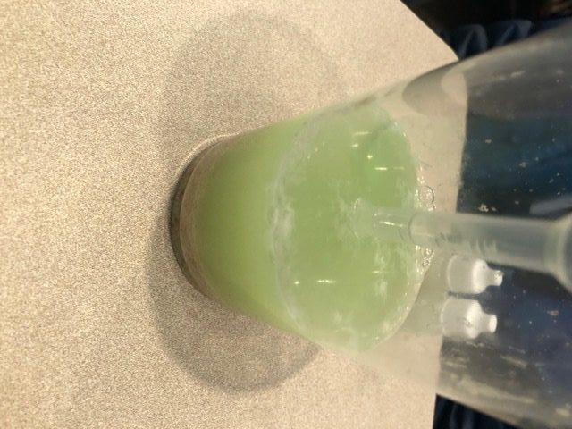 Vanderbilt University