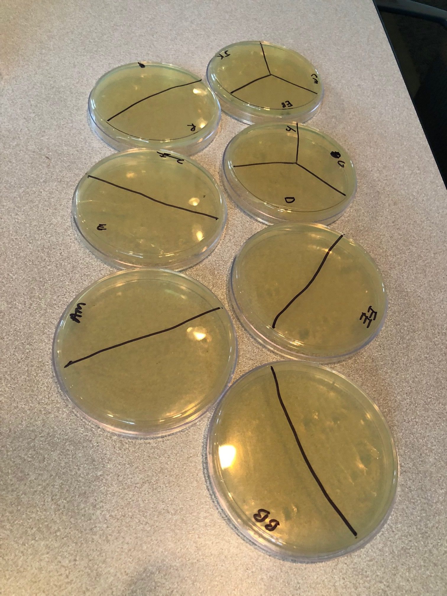 Vanderbilt University