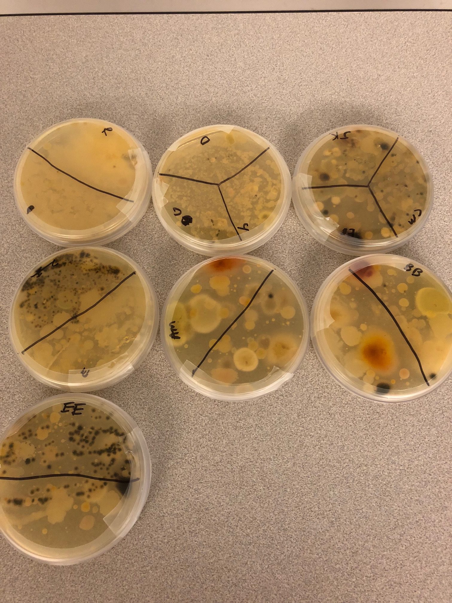 Vanderbilt University