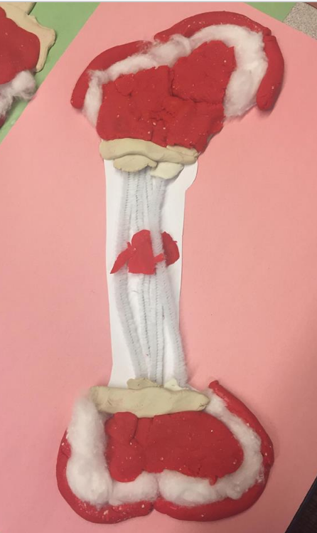 Vanderbilt University