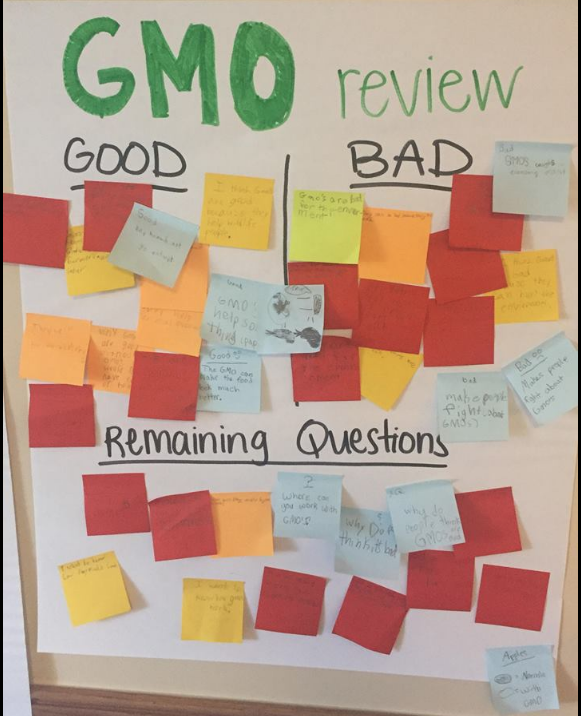 Vanderbilt University