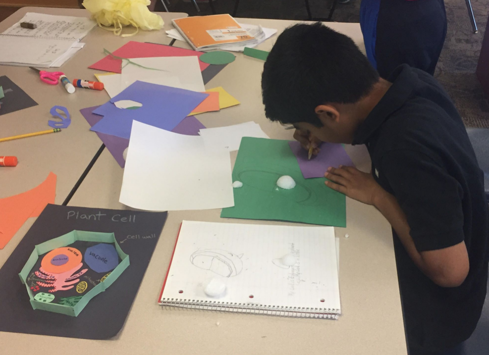 Vanderbilt University