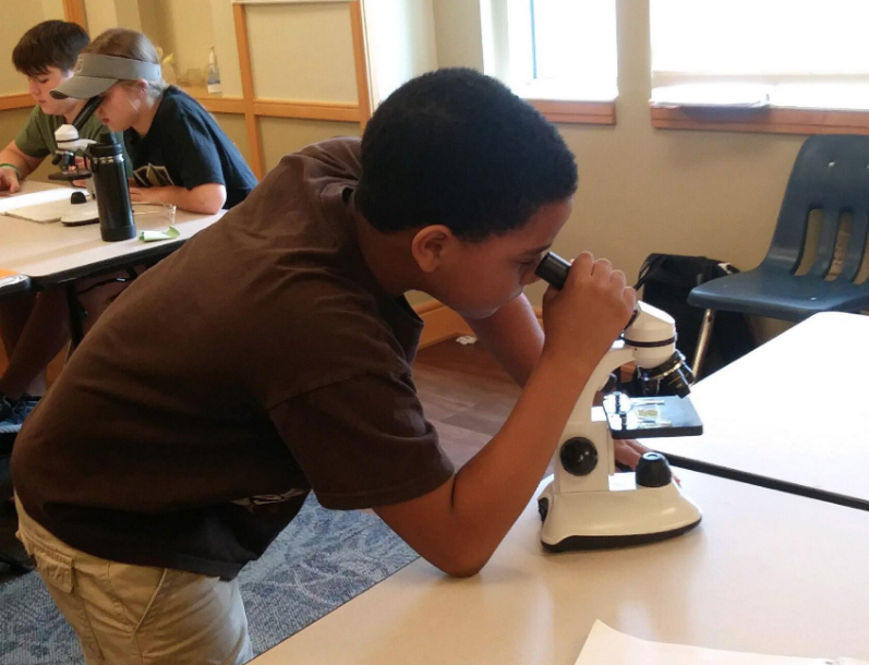 Vanderbilt University