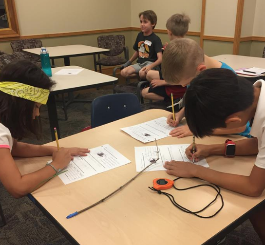 Vanderbilt University