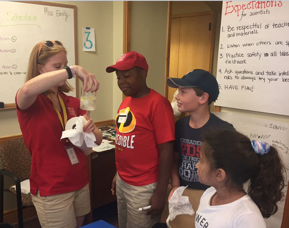 Vanderbilt University