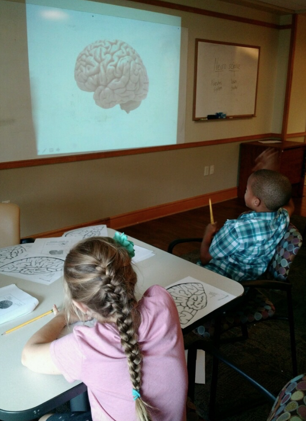 Vanderbilt University