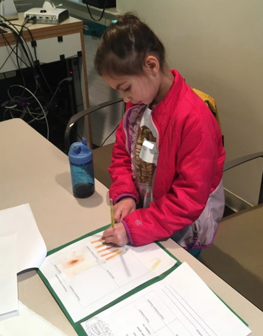 Vanderbilt University