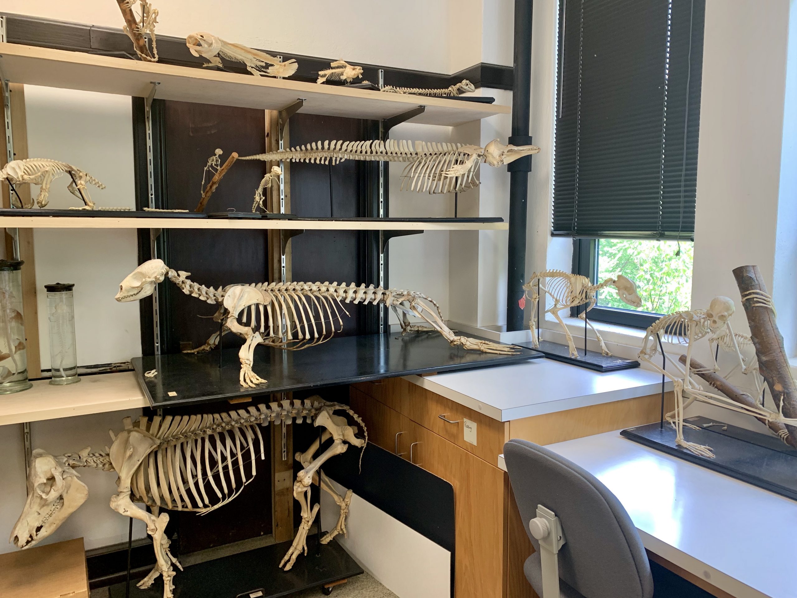 Vanderbilt University