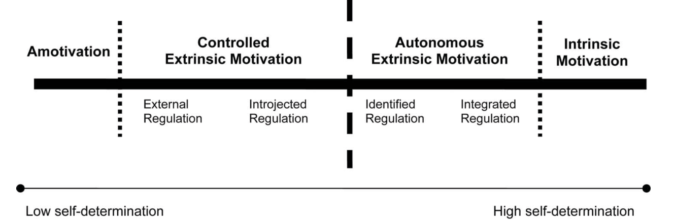 student self motivation essay