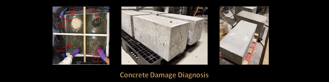 Concrete Damage Diagnosis