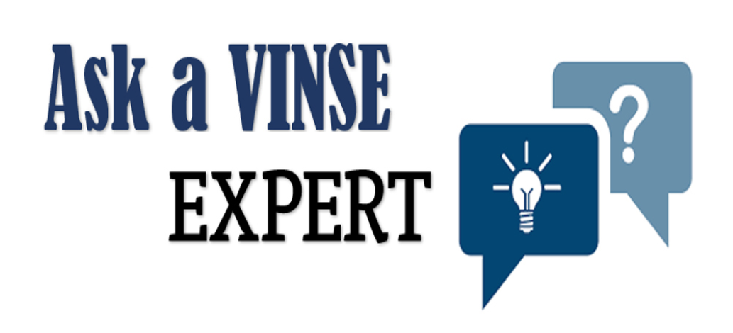 Have a question or idea you would like to brainstorm?  Contact the VINSE staff for a free consultation or to help resolve any problems, questions or discuss new ideas for your research.
