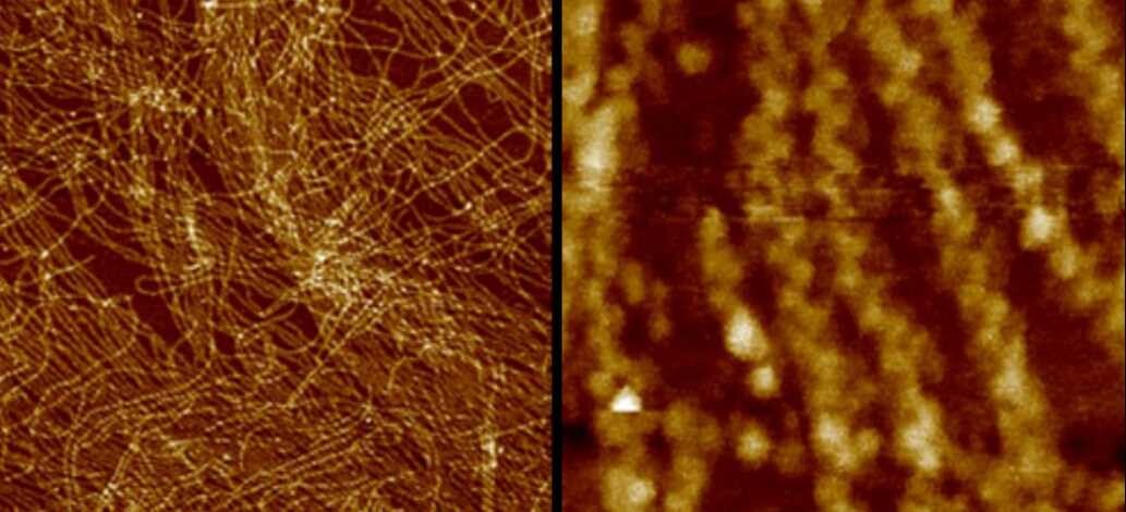 Imaged in VINSE facilities using Bruker Dimension Icon AFM