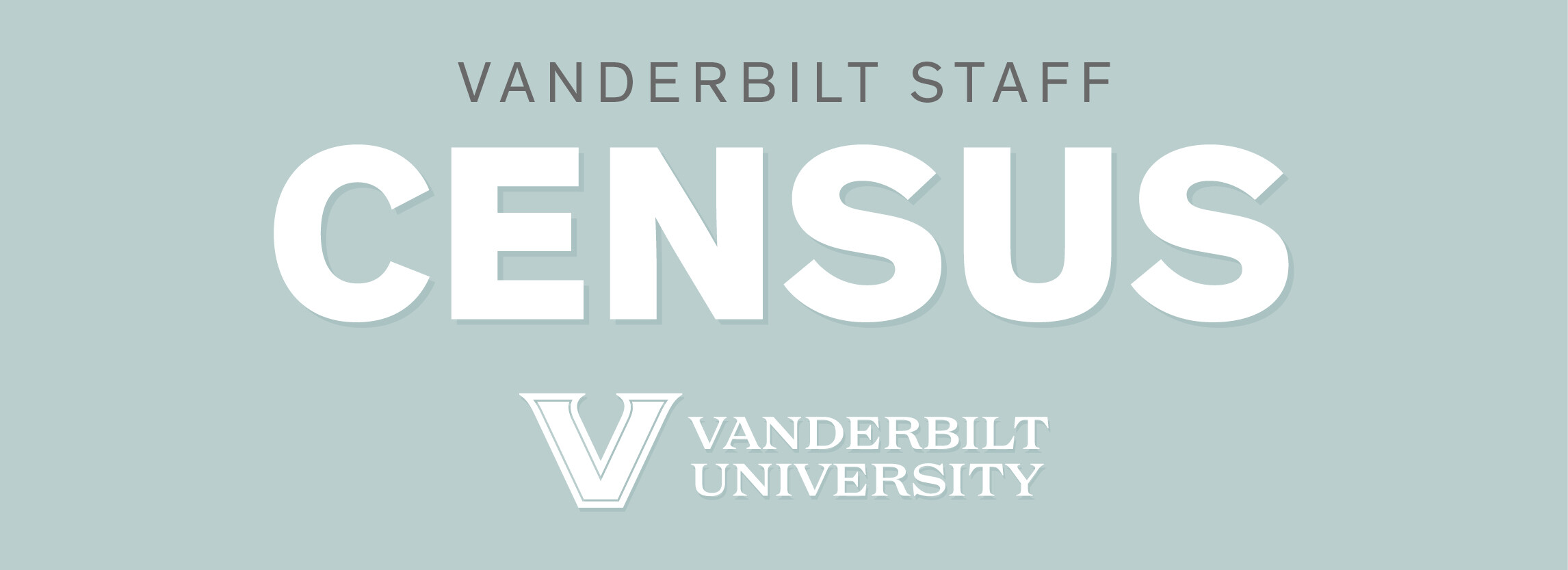 Vanderbilt Staff Census