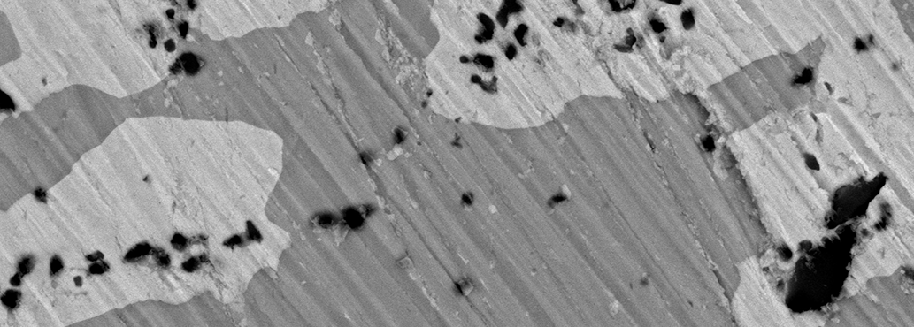 Backscattered Electron Image of Polished Lead-Tin Eutectic