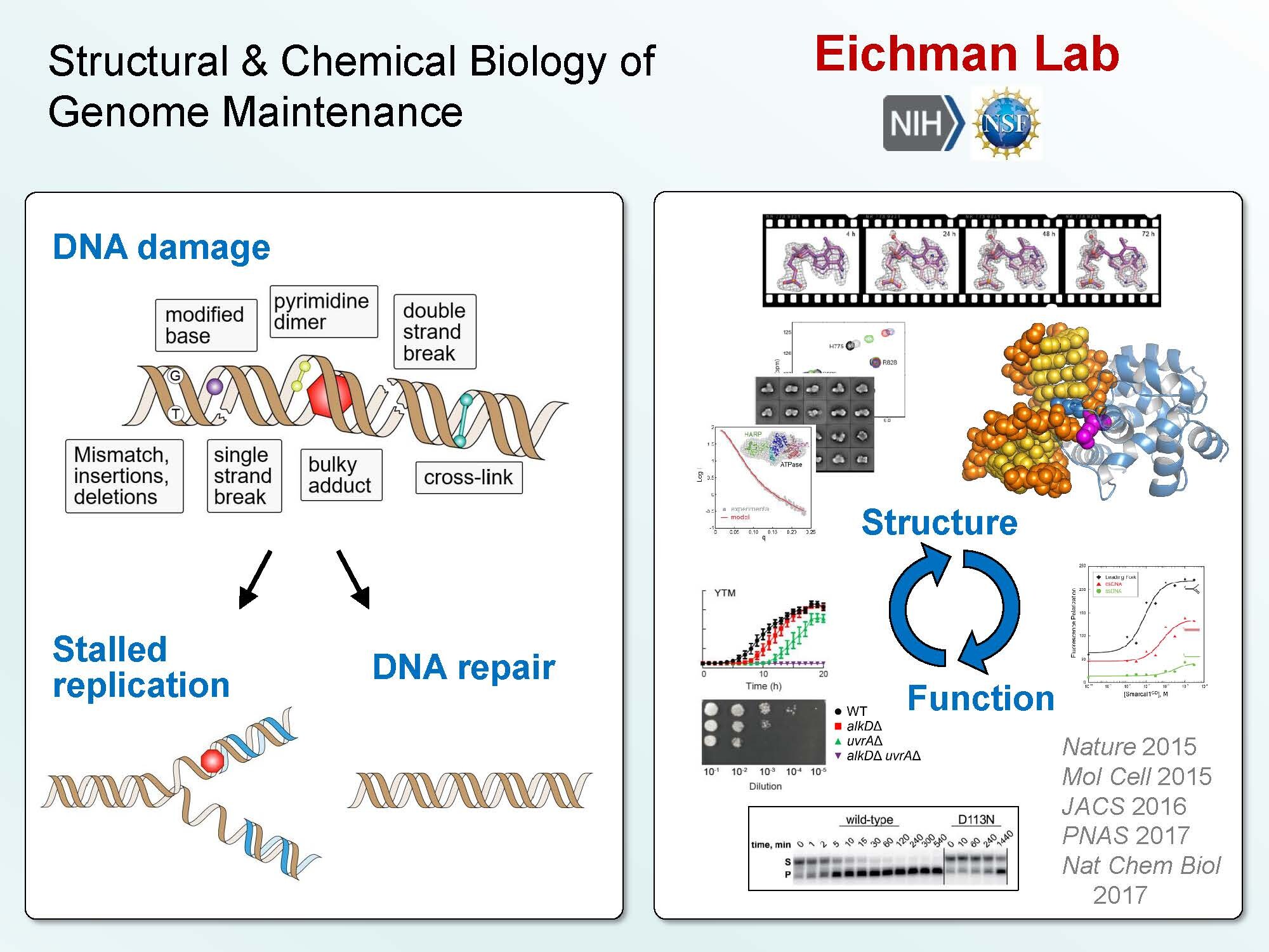 The Eichman Lab