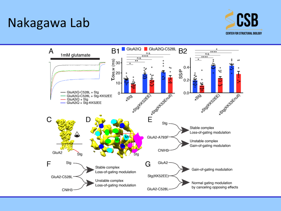 The Nakagawa Lab