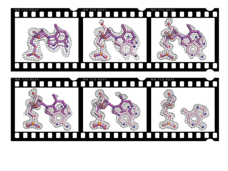 Time-resolved crystallography to monitor base excision repair by DNA glycosylases