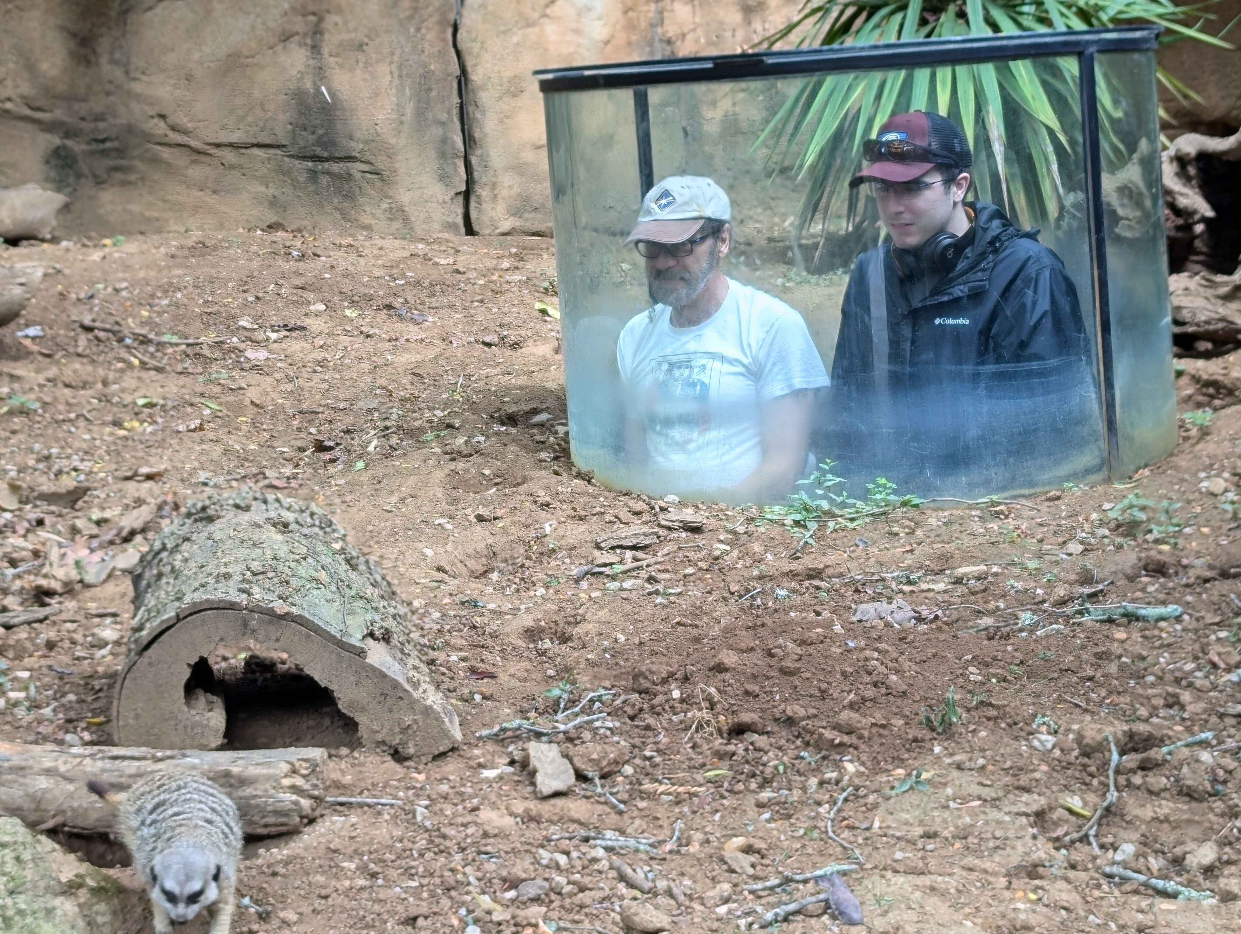 Exploring Nashville Zoo during the 2024 FCAI Autism Summer Internships.