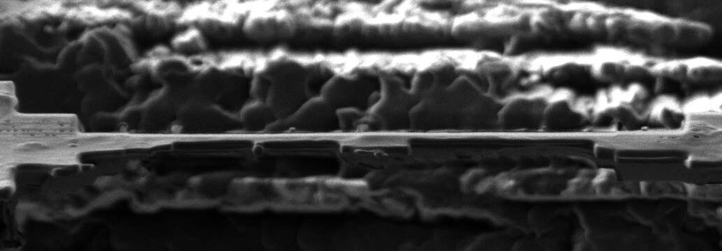 Side View of Cryo-ET Lamella – Vitrified Yeast