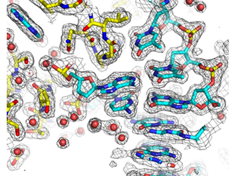 Building the atomic structure of a protein-DNA complex into experimental electron density from X-ray diffraction data