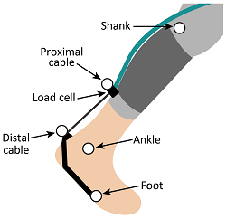 exosuit interface study