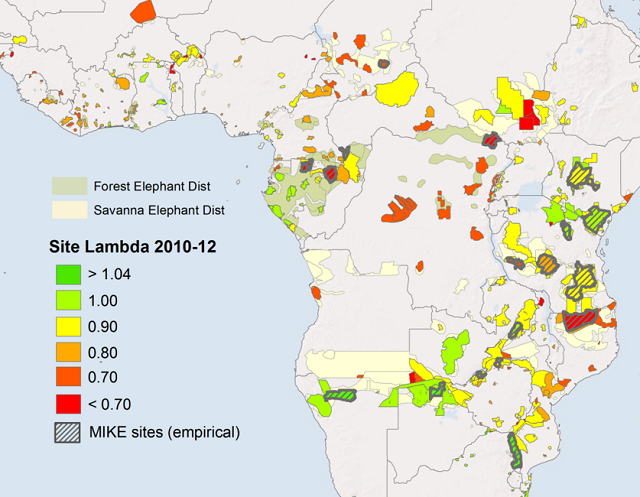 elephant poaching map