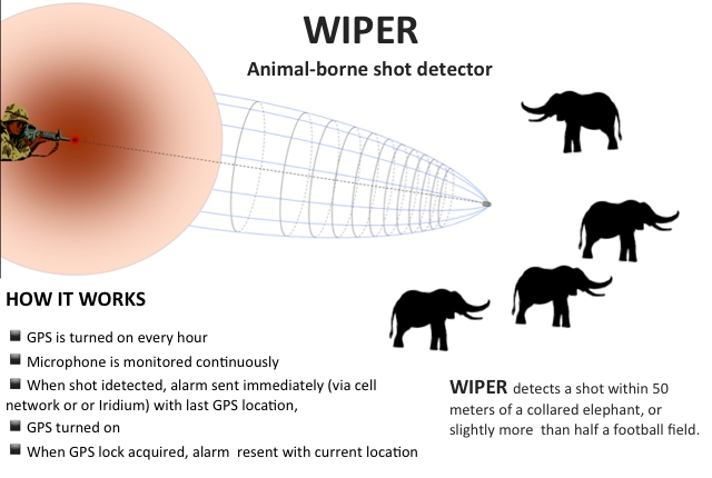 wiper graphic