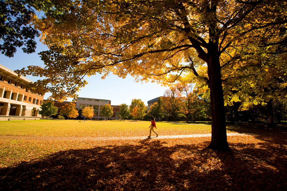 Four Hidden Study Spots on Campus