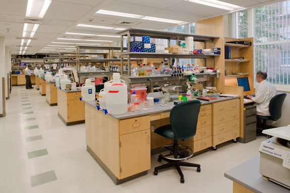 Well, this is not my lab but it looks similar to it