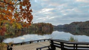 Radnor Lake