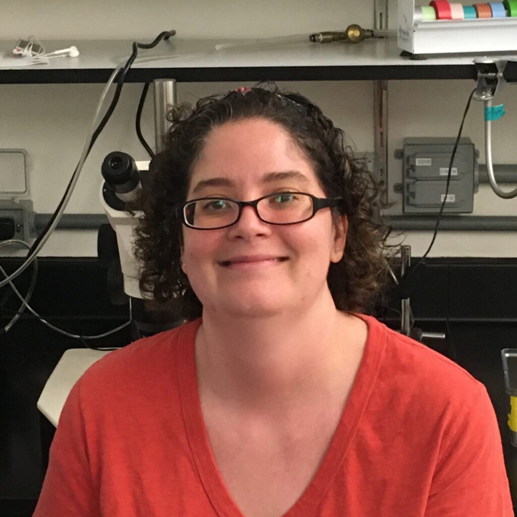 Amy Whitener Knapik Laboratory Website Vanderbilt University