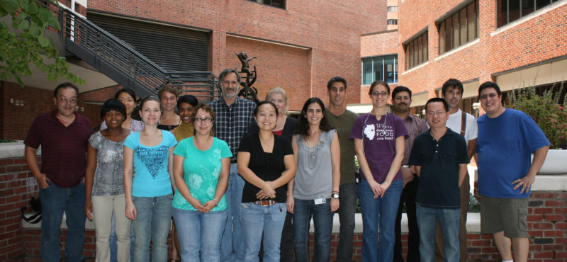 August 2010, Vanderbilt courtyard. I am in the second row. You can barely see me, so I guess I am not as tall as I think I am. If you want to know more about the background and research of the members of my lab, please go to the “Lab members” page. Some people belong to my husband’s lab. His name is Seva Gurevich, and he is standing next to me on the left. You can see him just fine, so he is as tall as he thinks he is. Although his lab is quite molecular, and some people even go so far as to purify proteins, we are still very friendly with them. On a day-to-day basis, we operate as one big, happy family, which provides variety in colors, shapes, sizes, and languages, not to mention research interests. We hold joint lab meetings, too. So, one day we might discuss the crystal structure of arrestin3 and the next day – the deficit in prefrontal cortex-dependent cognitive functions!