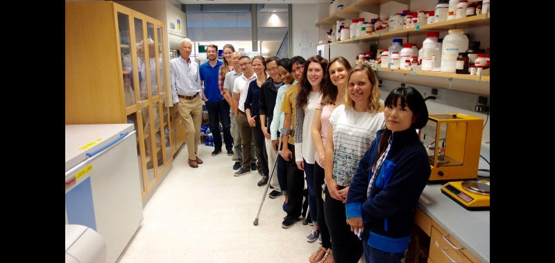 The lab group, September 2016