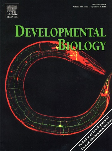 developmental biology003.jpg