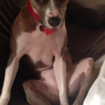 Ruby-Qualls-685×380